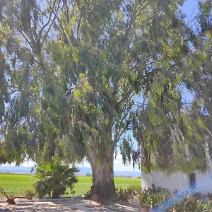 Lo Mas De Suriaca , El Poble Nou del Delta España